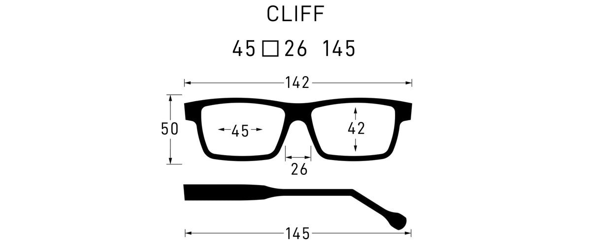 vinylize eyewear 